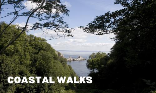 Coastal Walks